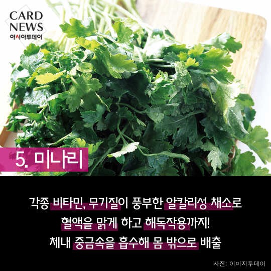 카드 뉴스 이미지