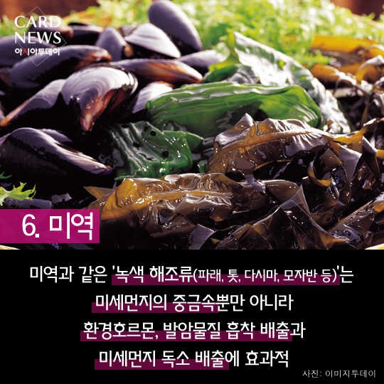 카드 뉴스 이미지