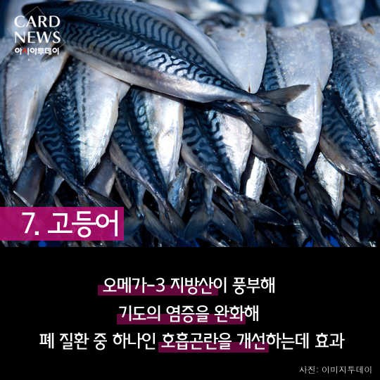 카드 뉴스 이미지