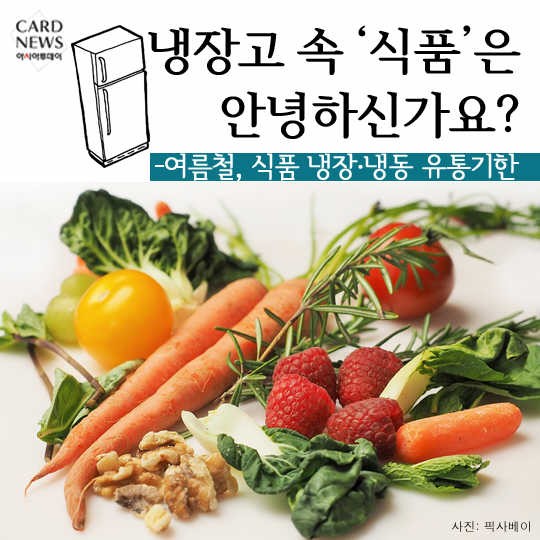 카드 뉴스 이미지