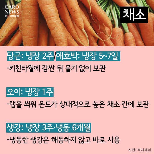 카드 뉴스 이미지