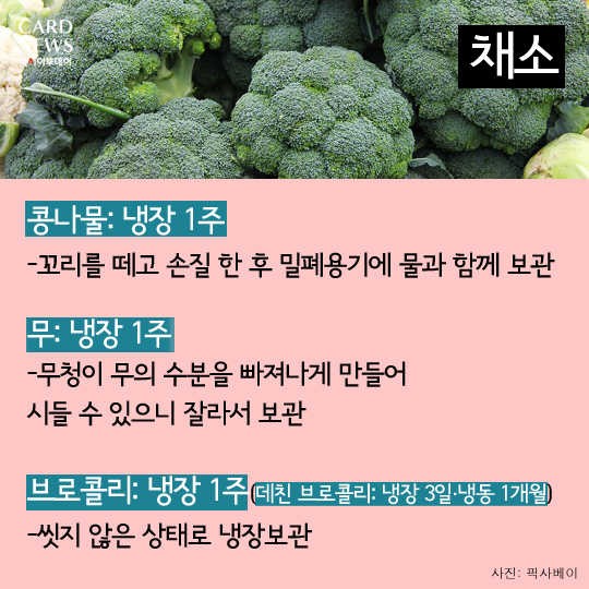 카드 뉴스 이미지