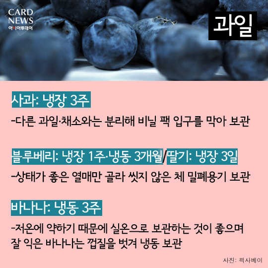 카드 뉴스 이미지