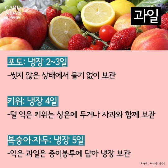 카드 뉴스 이미지