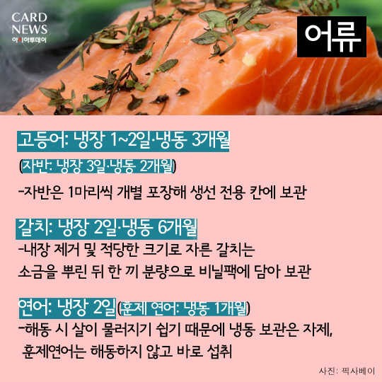 카드 뉴스 이미지