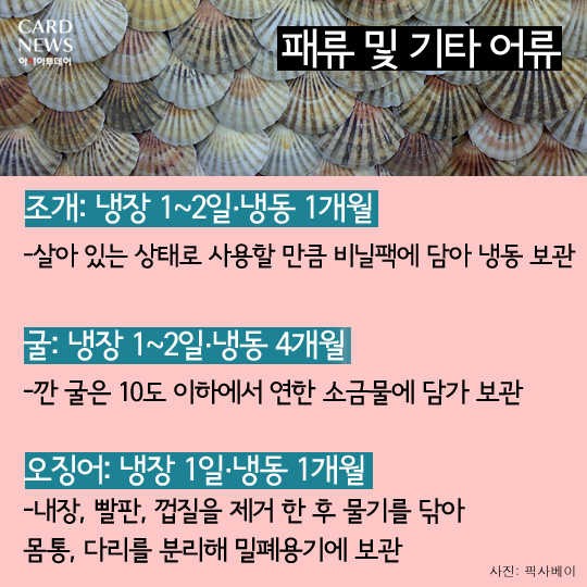 카드 뉴스 이미지