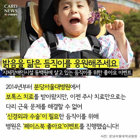 카드 뉴스 이미지