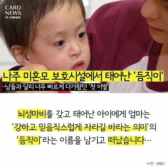카드 뉴스 이미지