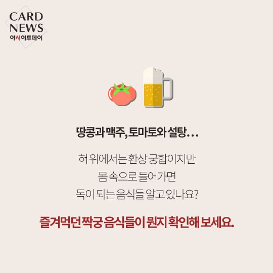 카드 뉴스 이미지