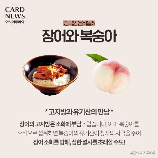 카드 뉴스 이미지