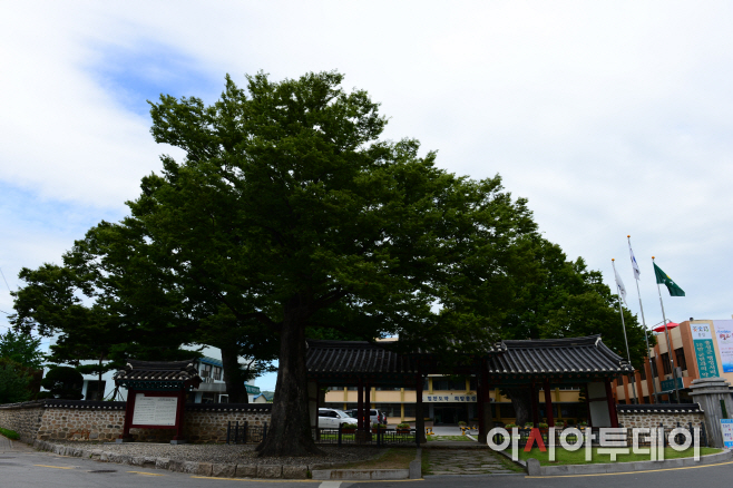 홍주아문 (3)