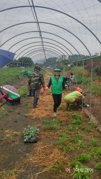0516 하남체육공원 덩굴터널 조성