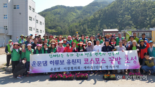 운문댐 하류보 유원지 꽃밭조성