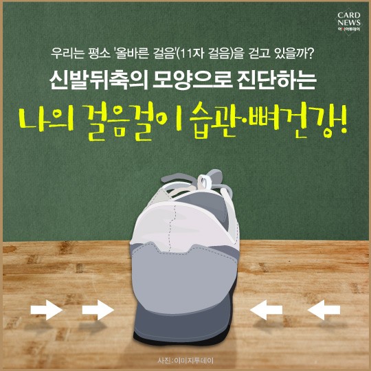 카드 뉴스 이미지
