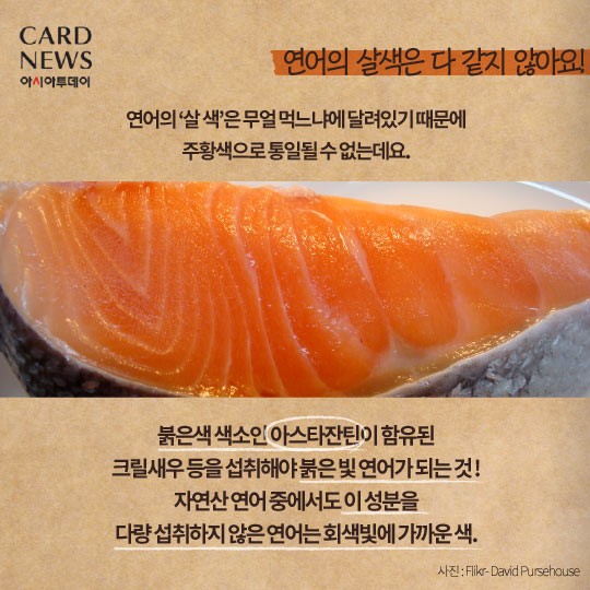 카드 뉴스 이미지