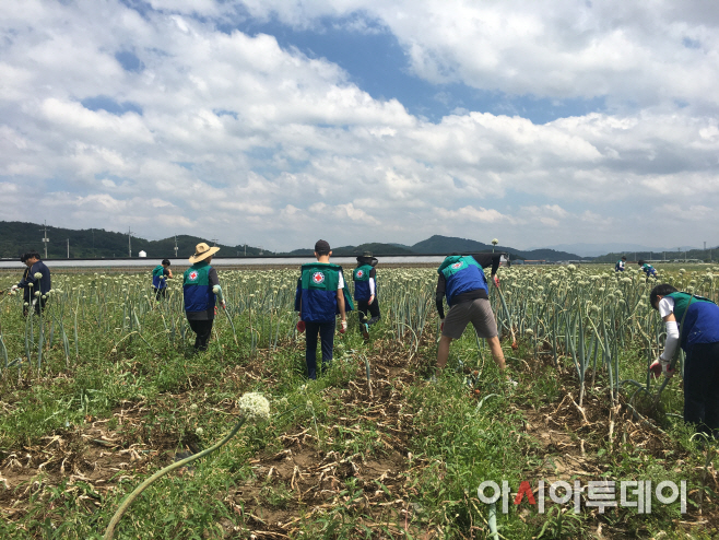 청소년 적십자 일손돕기