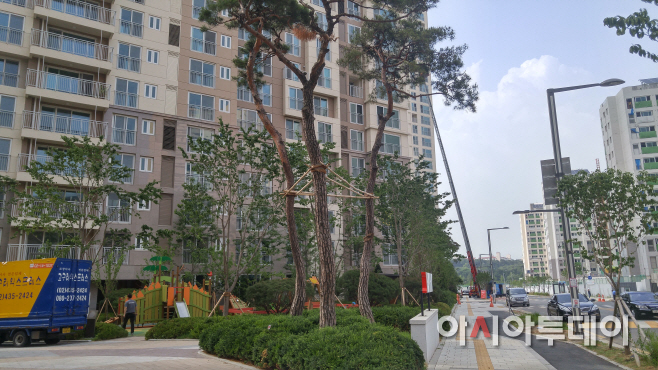 20160613_161853_HDR