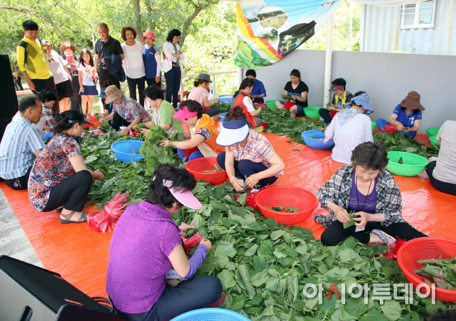 제10회깻잎가족한마음체육대회-깻잎빨리묶기2