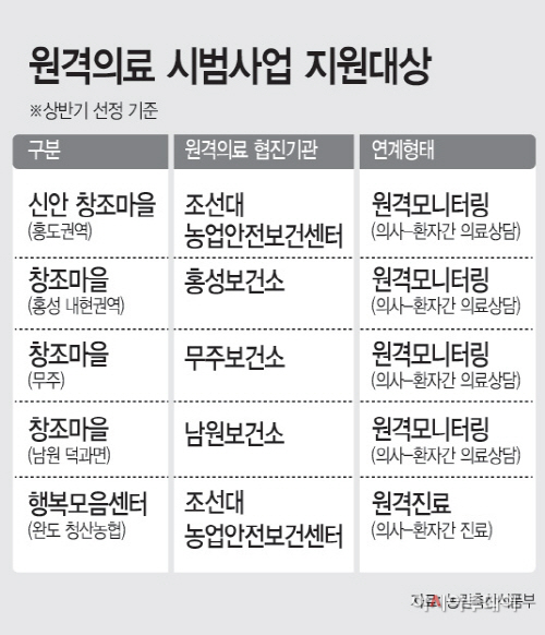 원격의료시범사업지원대상