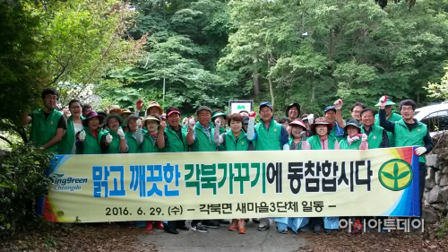 각북면 대동골 환경정화