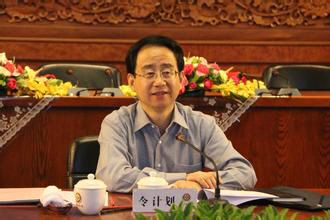 링지화