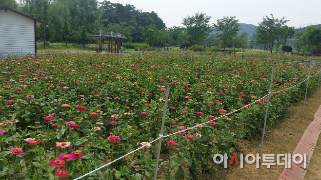 기흥호수공원 생태학습장 야생화단지1