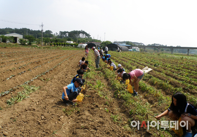 서산시 농촌정보화 마을