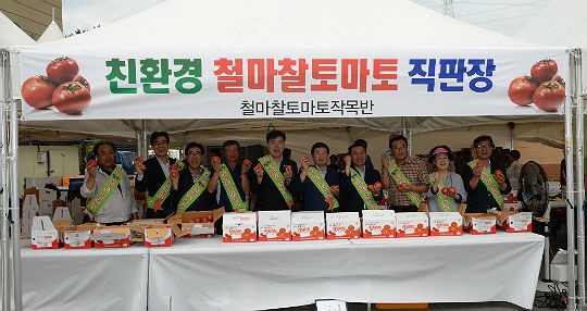 기장군 철마찰토마토 직판장