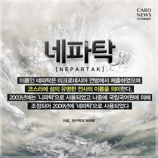 카드 뉴스 이미지