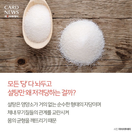 카드 뉴스 이미지