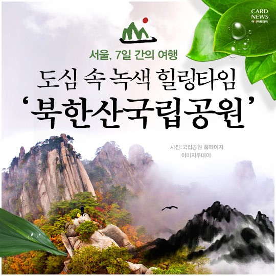 카드 뉴스 이미지