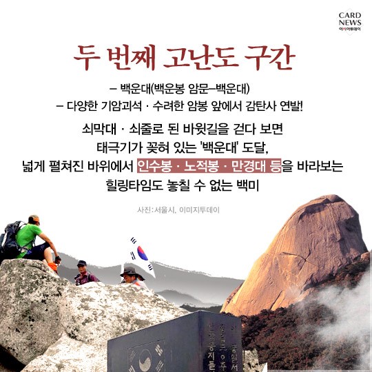 카드 뉴스 이미지