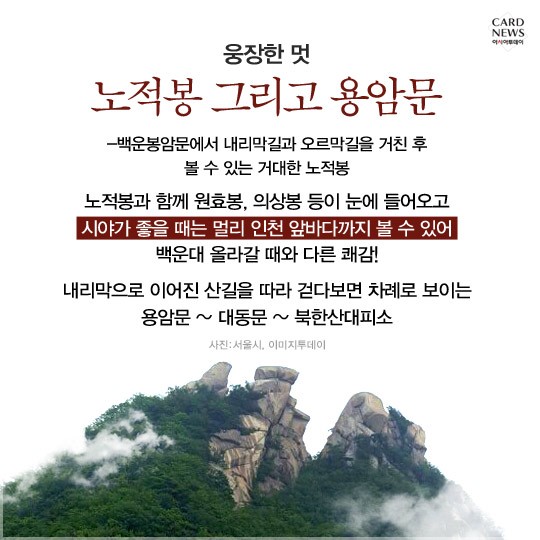 카드 뉴스 이미지