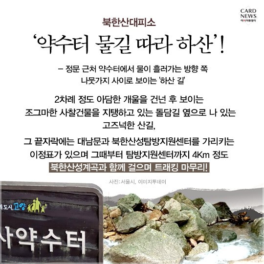 카드 뉴스 이미지