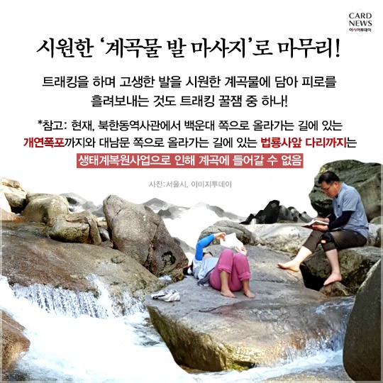 카드 뉴스 이미지