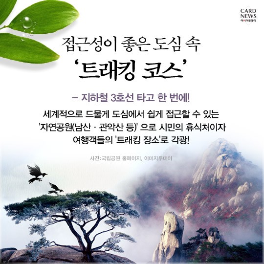 카드 뉴스 이미지