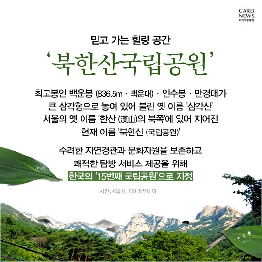 카드 뉴스 이미지