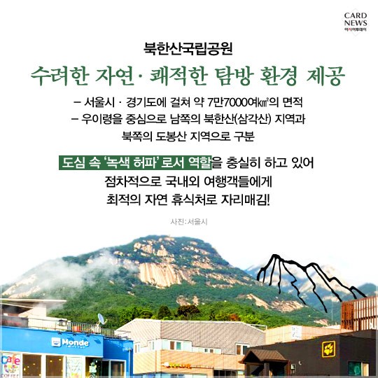 카드 뉴스 이미지