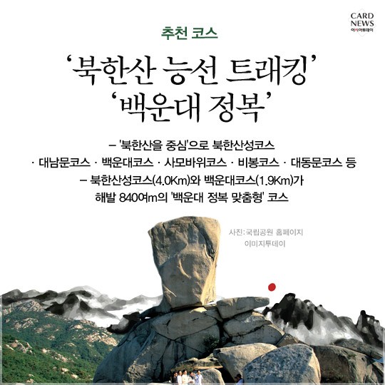 카드 뉴스 이미지
