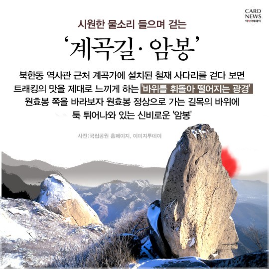 카드 뉴스 이미지