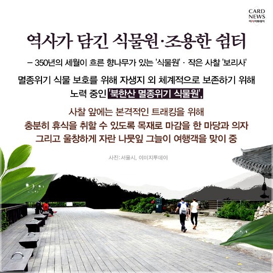카드 뉴스 이미지