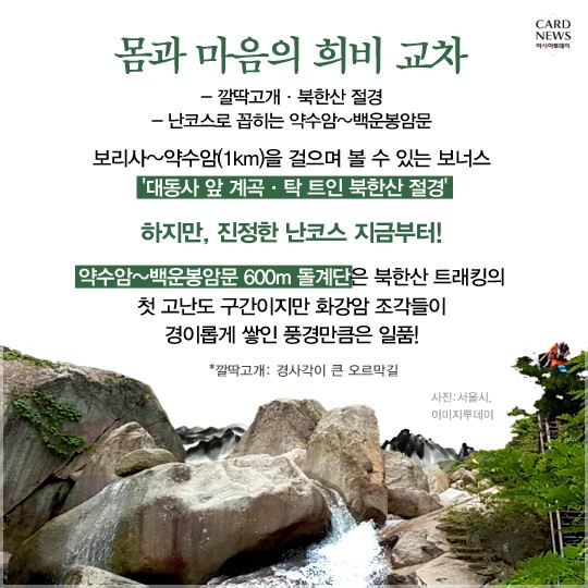 카드 뉴스 이미지