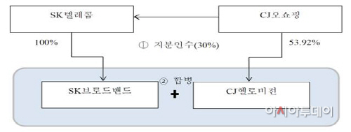 기업결합구조
