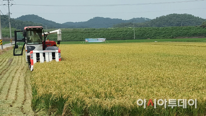 창녕부군수