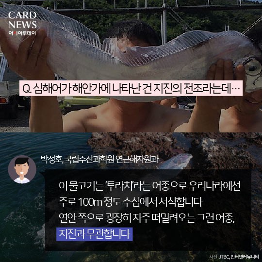 카드 뉴스 이미지