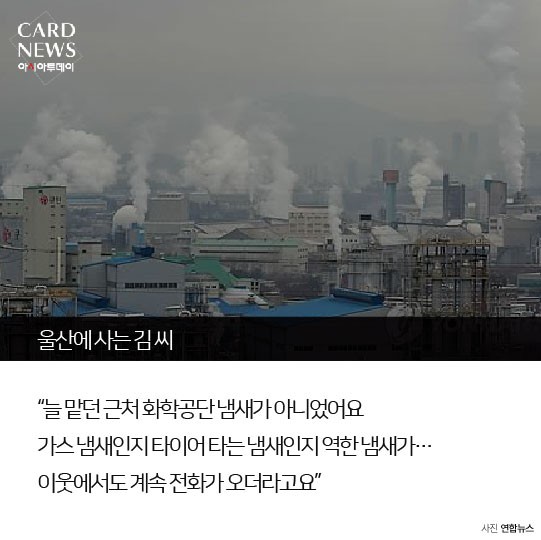 카드 뉴스 이미지