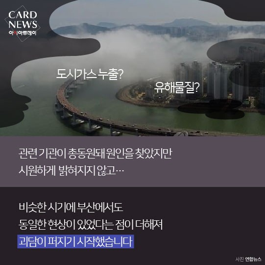 카드 뉴스 이미지