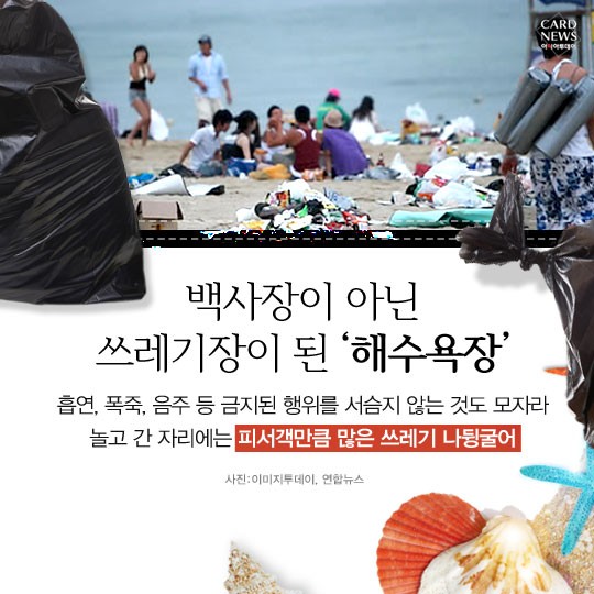 카드 뉴스 이미지