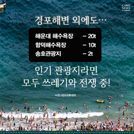 카드 뉴스 이미지