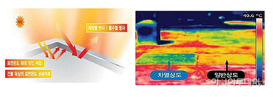 화이트루프 부산 시범사업 추진